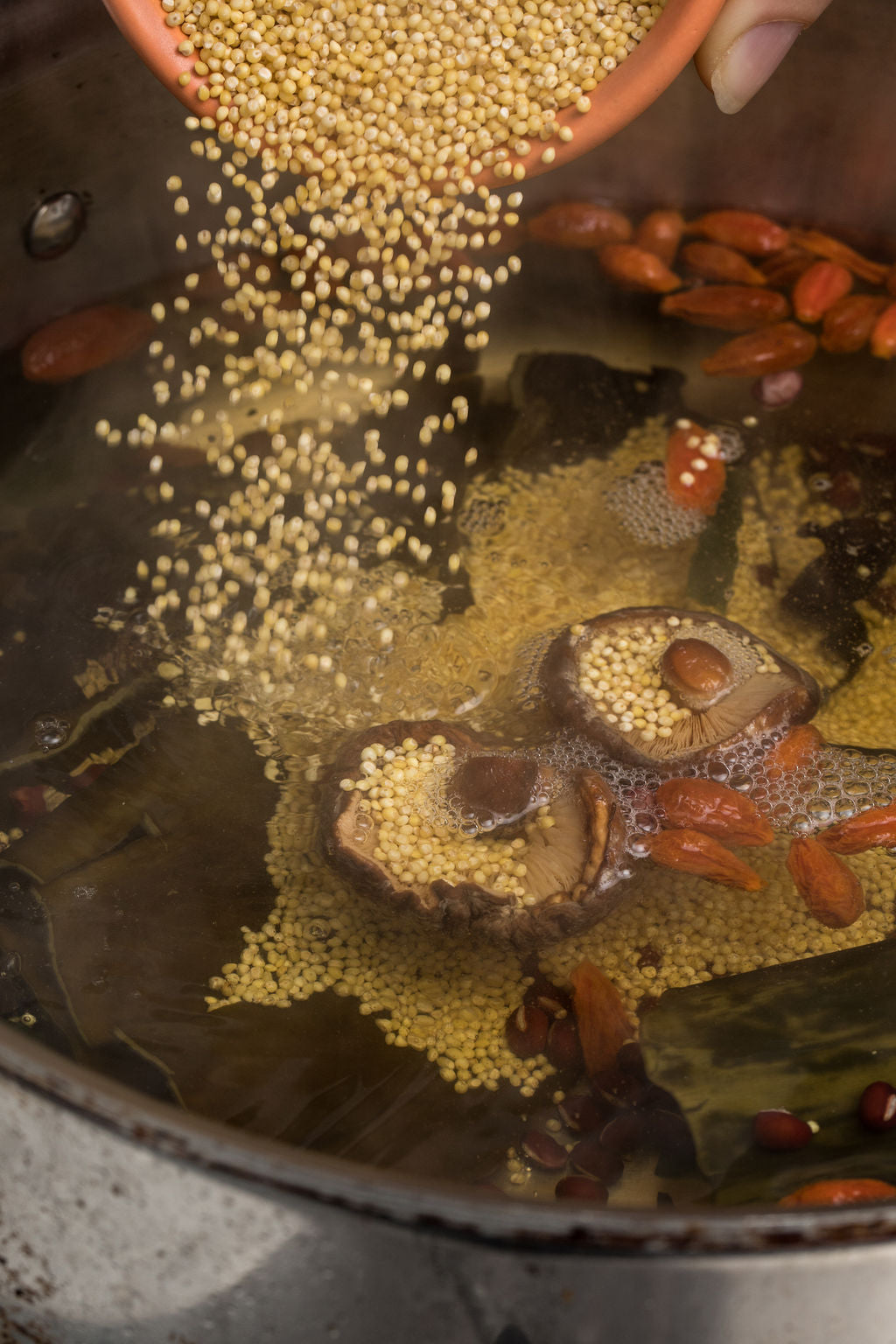 Adzuki Millet Shiitake Tofu Soup