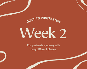 Guide to Postpartum: Week 2