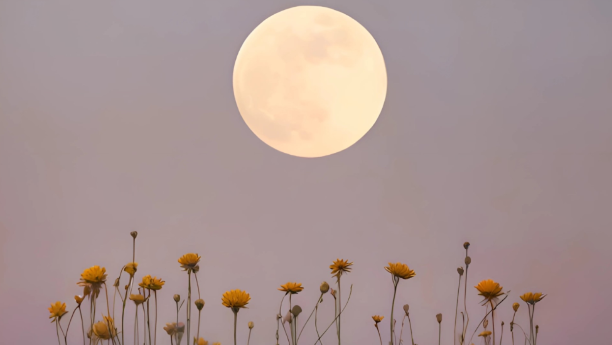 How Cycle Syncing Has Become a Women’s Health Movement | Beauty INC